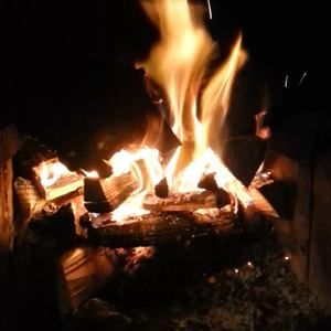 Meet your Posher, Kari